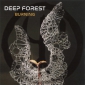 Audio CD: Deep Forest (2023) Burning