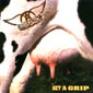 Альбом mp3: Aerosmith (1993) GET A GRIP