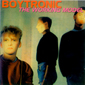 Альбом mp3: Boytronic (1983) THE WORKING MODEL