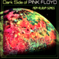 Альбом mp3: Pink Floyd (2005) DARK SIDE OF PINK FLOYD (Non Album Songs)