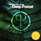 Альбом mp3: Deep Forest (2004) ESSENCE OF THE FOREST