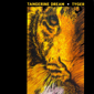 Альбом mp3: Tangerine Dream (1987) TYGER