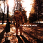 Альбом mp3: Camouflage (2006) RELOCATED