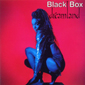 Альбом mp3: Black Box (1990) DREAMLAND