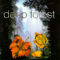 Альбом mp3: Deep Forest (1995) BOHEME