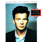Альбом mp3: Rick Astley (1988) HOLD ME IN YOUR ARMS