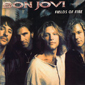 Альбом mp3: Bon Jovi (1997) FIELDS OF FIRE (Rarities)