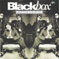 Альбом mp3: Black Box (1995) POSITIVE VIBRATION