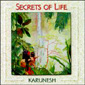 Альбом mp3: Karunesh (2000) SECRETS OF LIFE