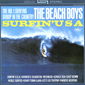 Альбом mp3: Beach Boys (1963) SURFIN' U.S.A.