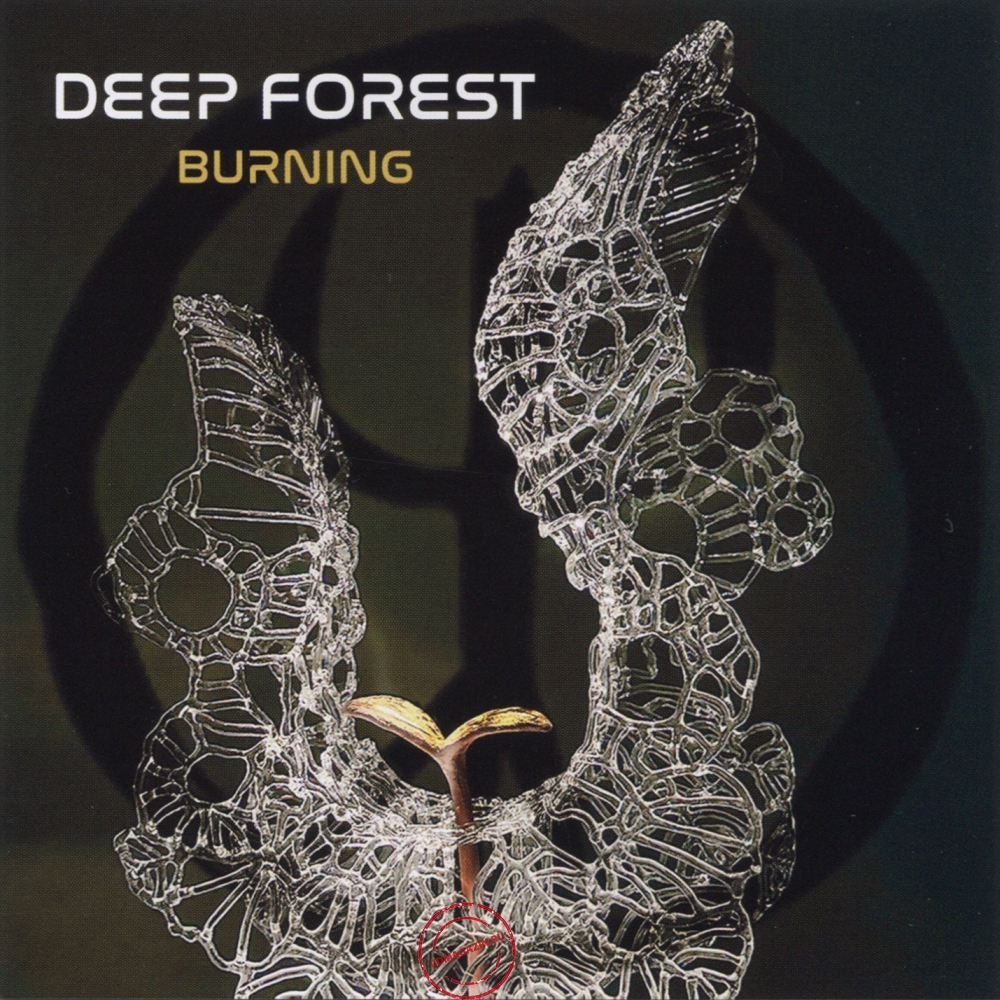 Audio CD: Deep Forest (2023) Burning