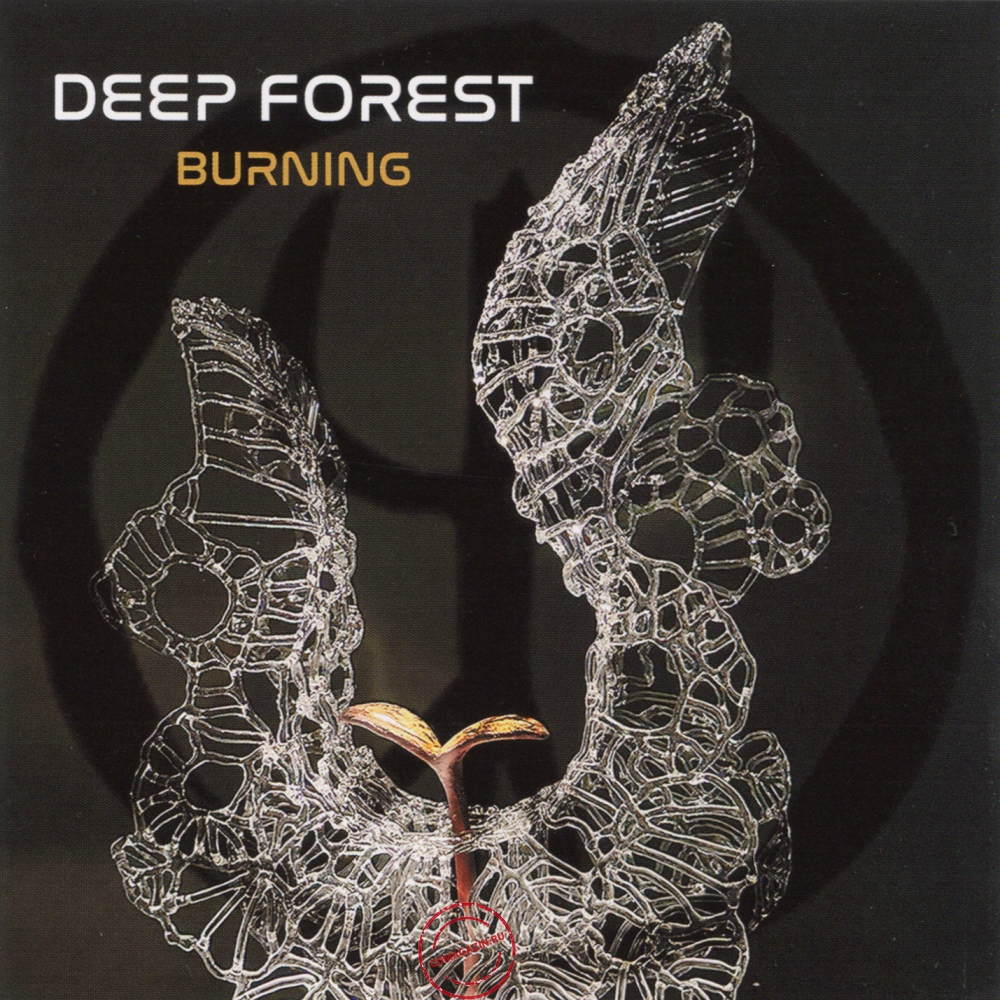 Audio CD: Deep Forest (2023) Burning Audio CD: Deep Forest (2023) Burning