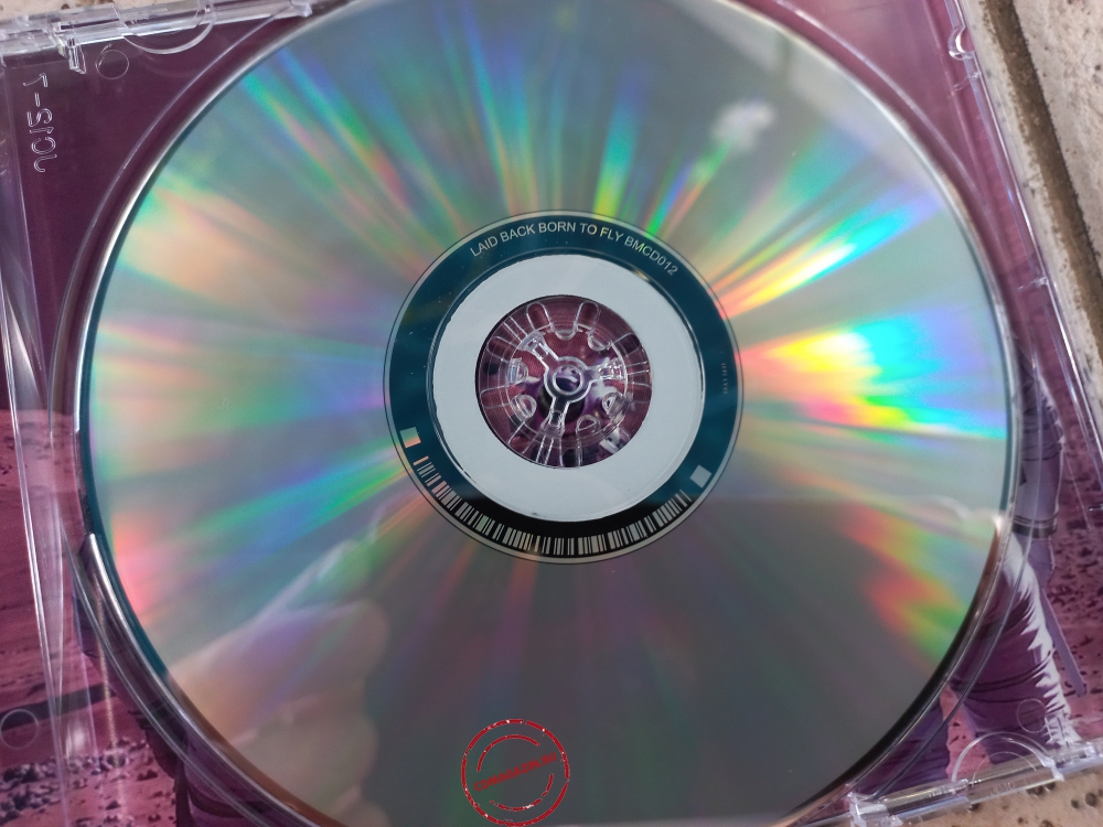 Audio CD: Laid Back (2026) Born To Fly
