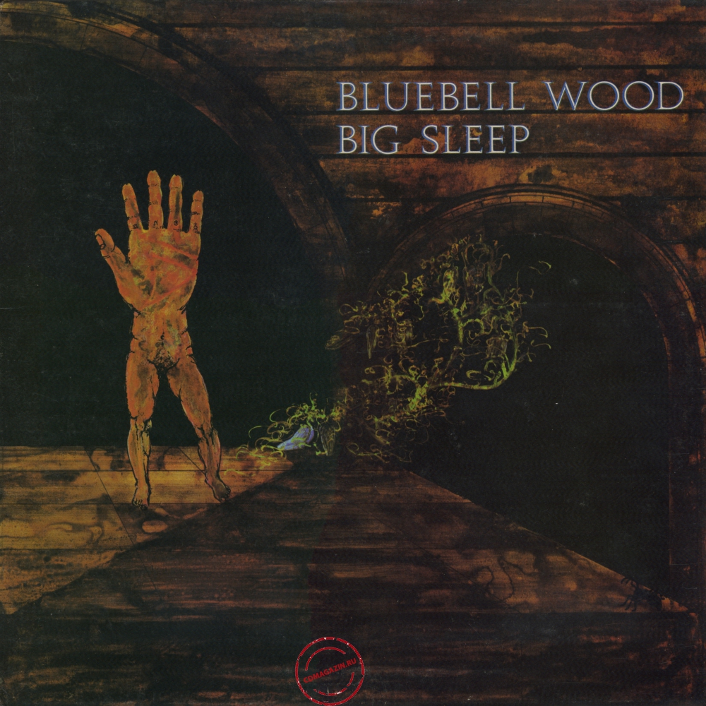 Оцифровка винила: Big Sleep (2) (1971) Bluebell Wood
