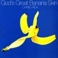MP3 альбом: Chris Rea (1992) GOD`S GREAT BANANA SKIN