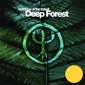 MP3 альбом: Deep Forest (2004) ESSENCE OF THE FOREST