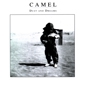 MP3 альбом: Camel (1991) DUST AND DREAMS