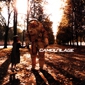 MP3 альбом: Camouflage (2006) RELOCATED