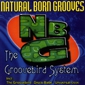 MP3 альбом: Natural Born Grooves (1997) THE GROOVEBIRD SYSTEM