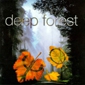 MP3 альбом: Deep Forest (1995) BOHEME