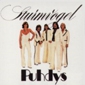 MP3 альбом: Puhdys (1976) STURMVOGEL