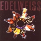 MP3 альбом: Edelweiss (1992) WONDERFUL WORLD OF EDELWEISS