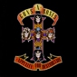 MP3 альбом: Guns N' Roses (1987) APPETITE FOR DESTRUCTION