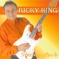 MP3 альбом: Ricky King (2007) STERNENSTAUB