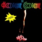 MP3 альбом: D.D. Sound (1979) THE HOOTCHIE COOTCHIE