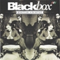MP3 альбом: Black Box (1995) POSITIVE VIBRATION