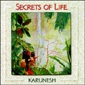 MP3 альбом: Karunesh (2000) SECRETS OF LIFE