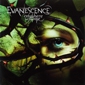 MP3 альбом: Evanescence (2004) ANYWHERE BUT HOME (Live)