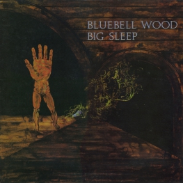 Оцифровка винила: Big Sleep (2) (1971) Bluebell Wood